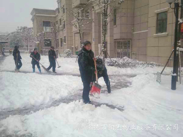 確保業(yè)主出行冰災除雪