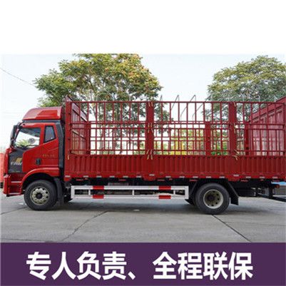 惠州到衡水冀州區(qū)貨運(yùn)公司