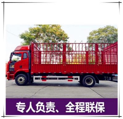 東莞到永州貨運公司